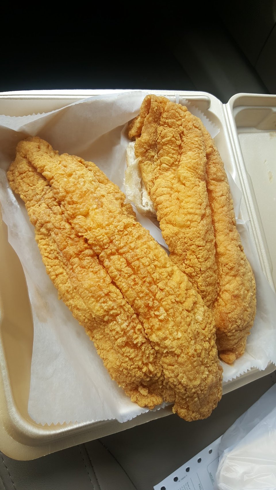 Fish